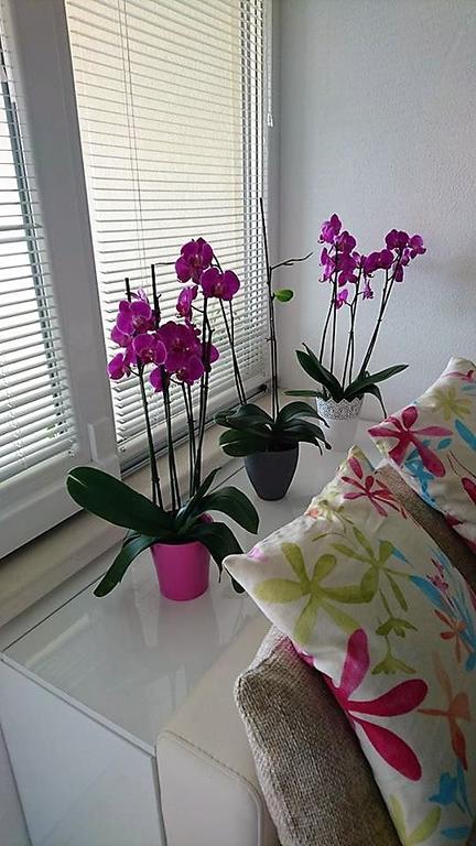 Apartment Vanja Тучепи Экстерьер фото